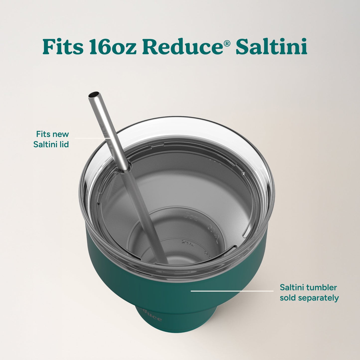 saltini-straw-set-a5 4PK_SaltiniStraws_SS-4.jpg