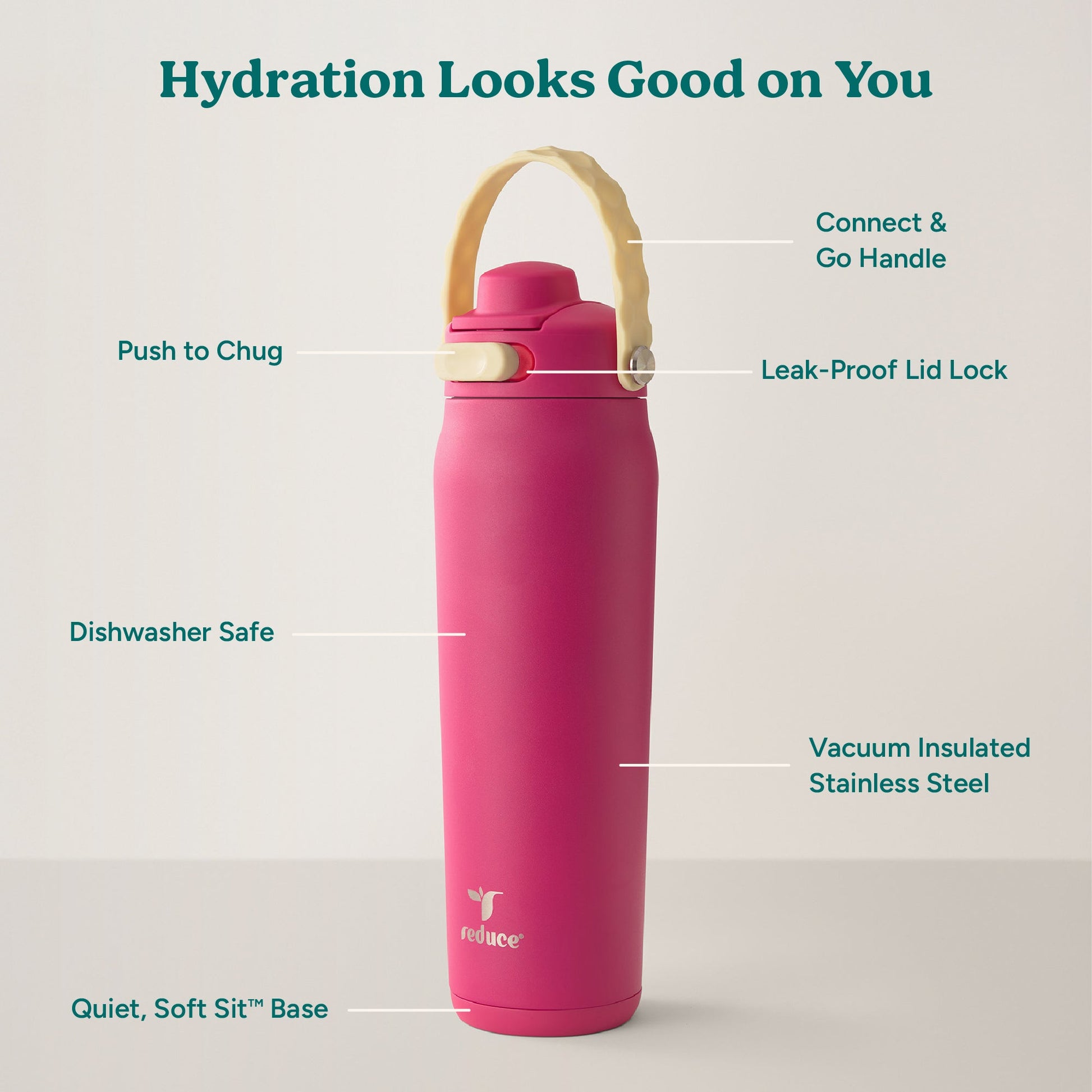 aura-26-oz-i3 Aura_26oz_DragonFruit_PDP_Infographic_2-03.jpg