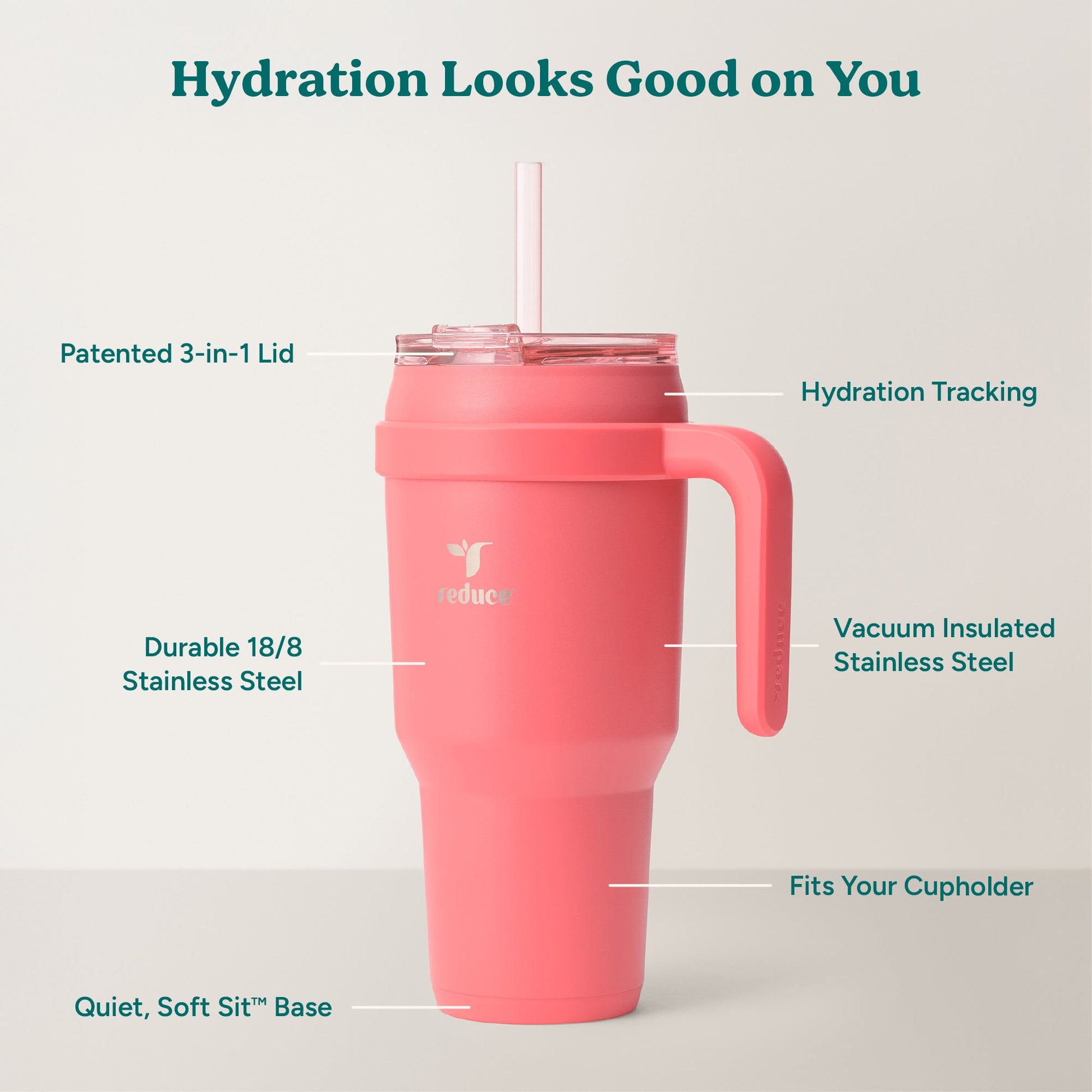 cold1-40-oz-c9 Cold1_40oz_Daiquiri_Infographic_2.jpg