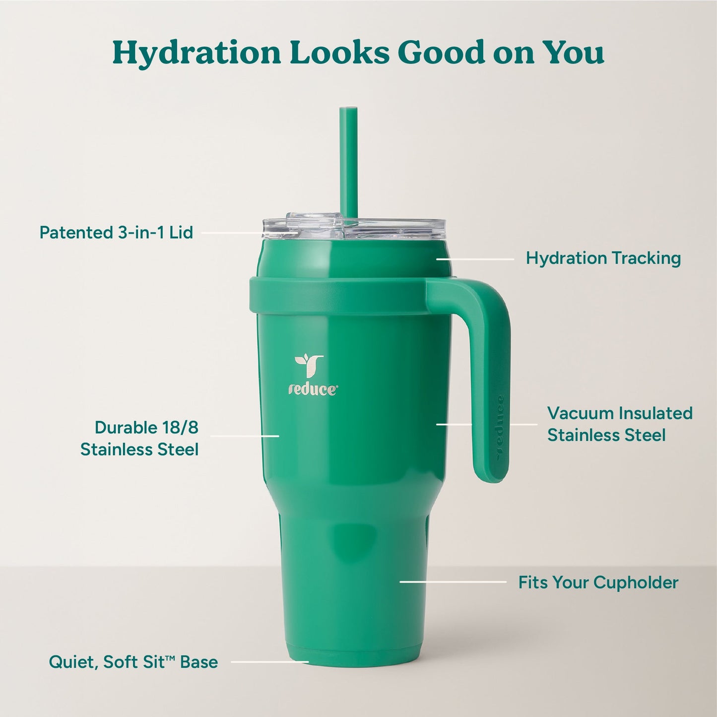 cold1-40-oz-c9 Cold1_40oz_PalmLeaf_Infographic_2.jpg