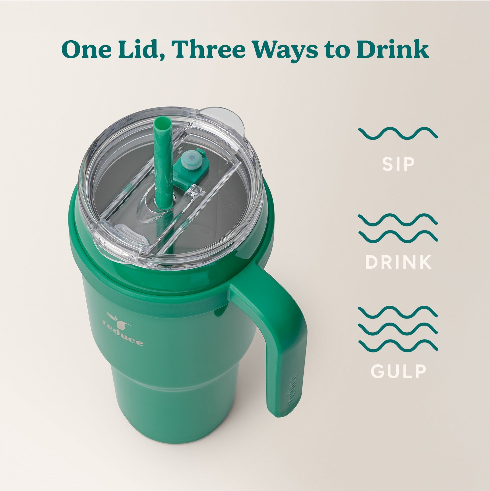 cold1-40-oz-c9 Cold1_40oz_PalmLeaf_Infographic_3.jpg
