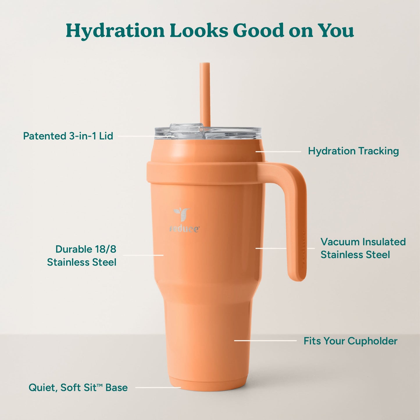 cold1-40-oz-c9 Cold1_40oz_Papaya_Infographic_2.jpg