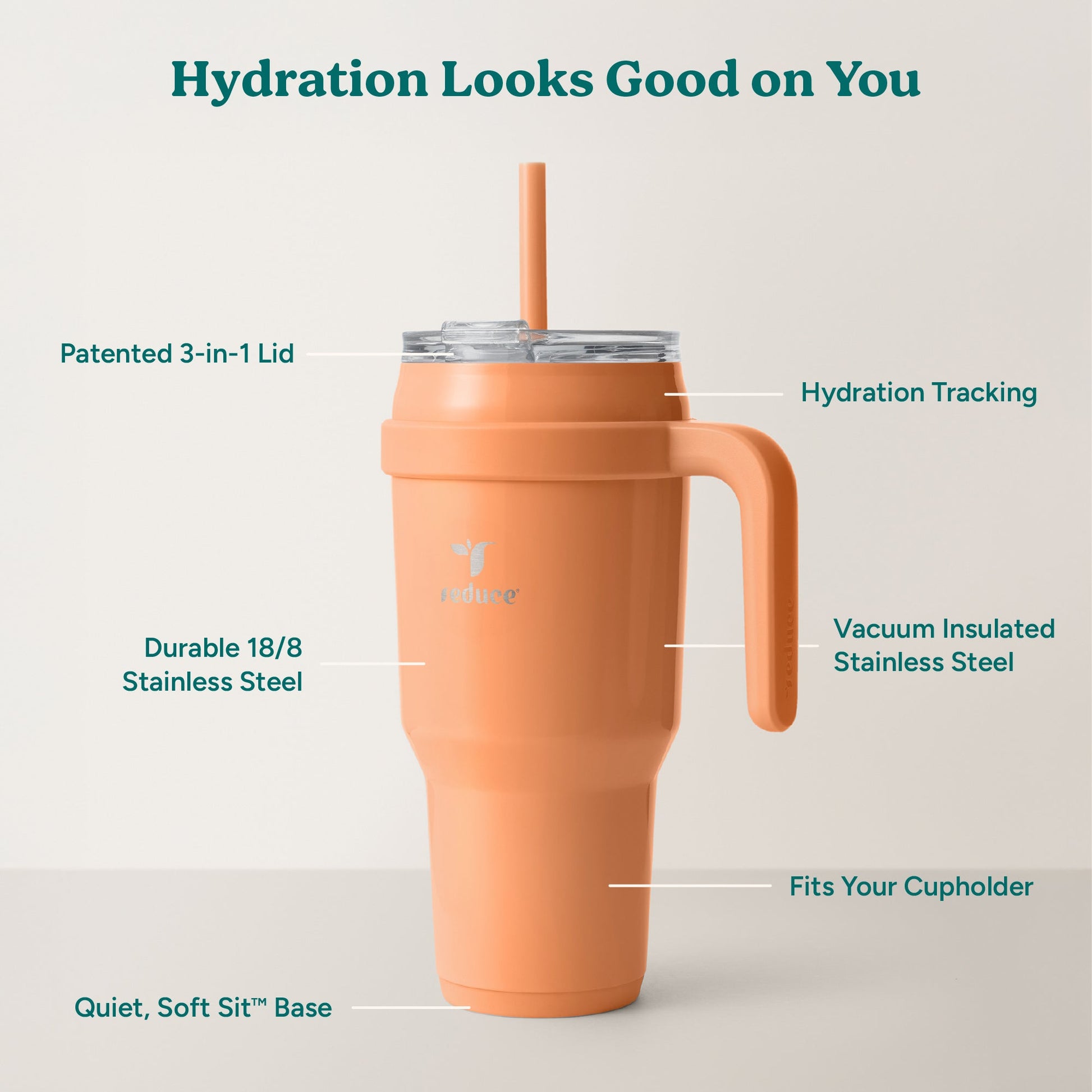 cold1-40-oz-c9 Cold1_40oz_Papaya_Infographic_2.jpg