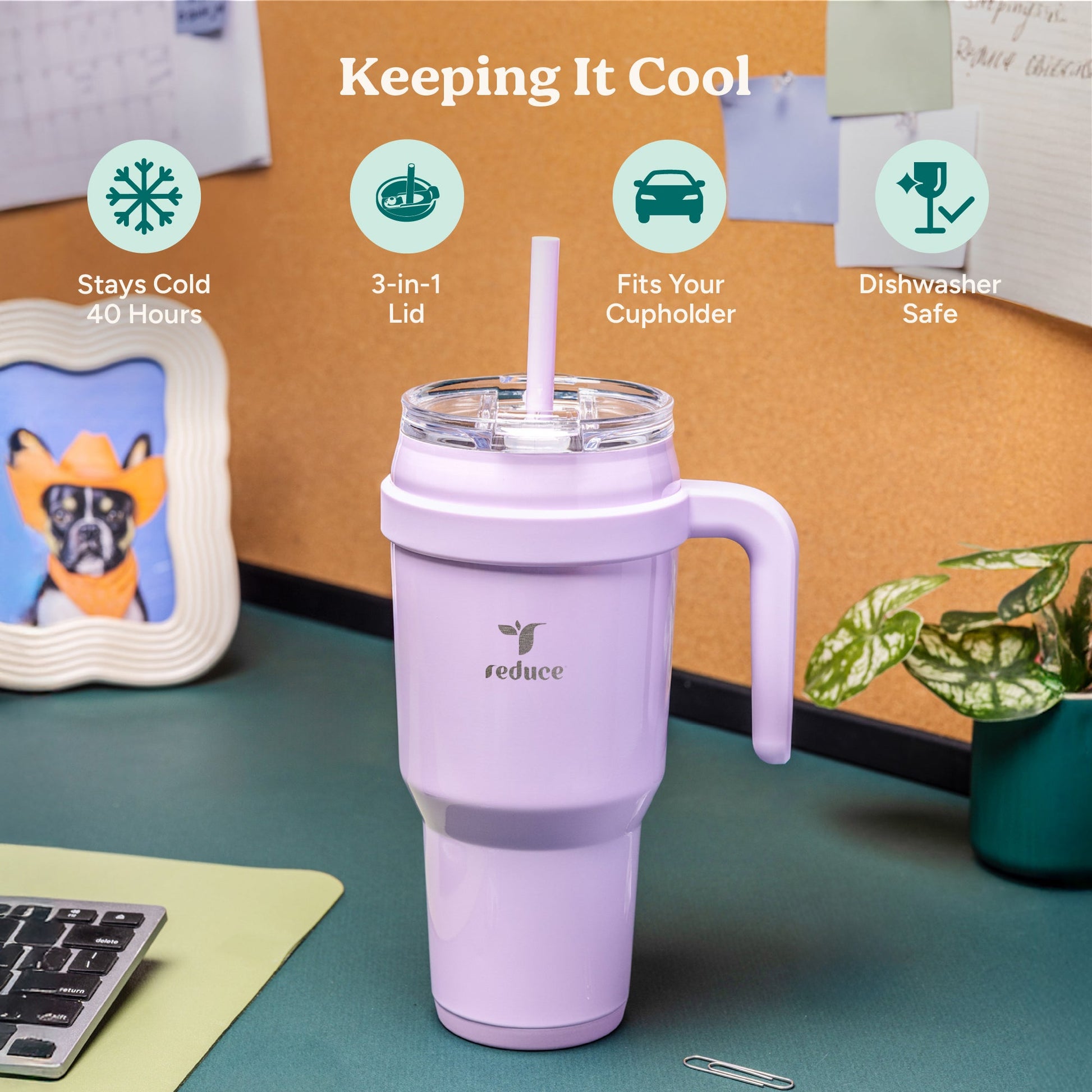 cold1-40-oz-c9 Cold1_40oz_PinaColada_Infographic_1.jpg