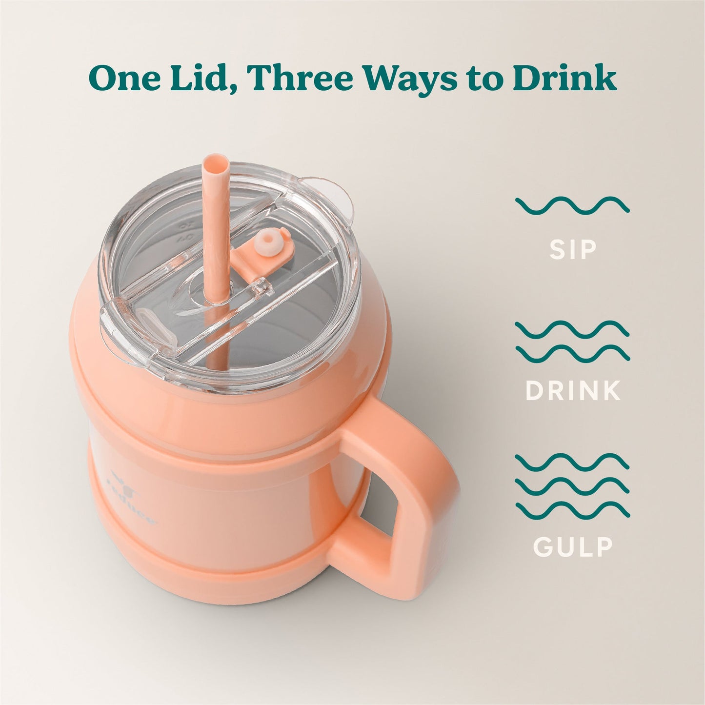 cold1-desktop-50-oz-l7 Cold1_50oz_Desktop_Sedona_Infographic_3.jpg